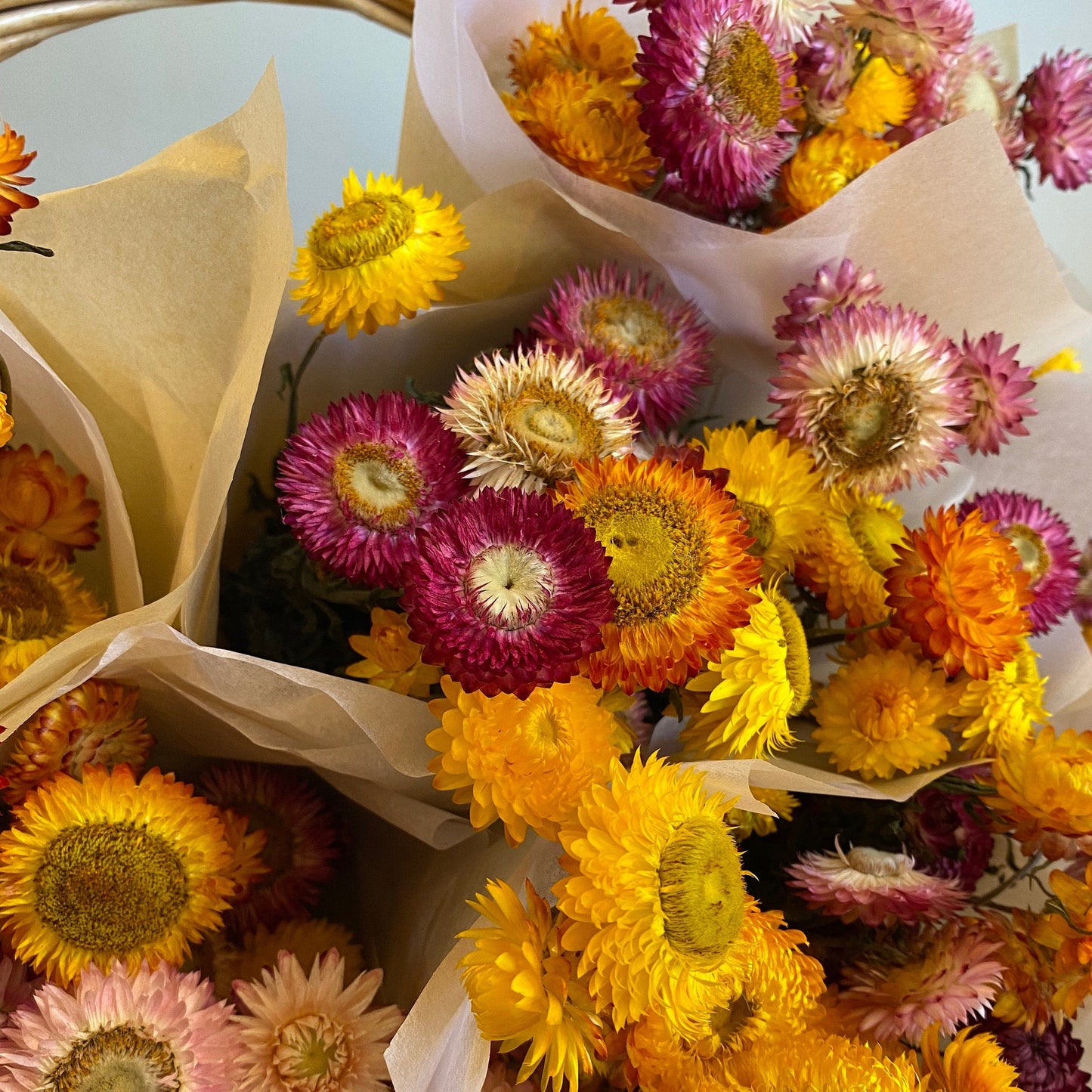 Everlasting Strawflower Bouquet