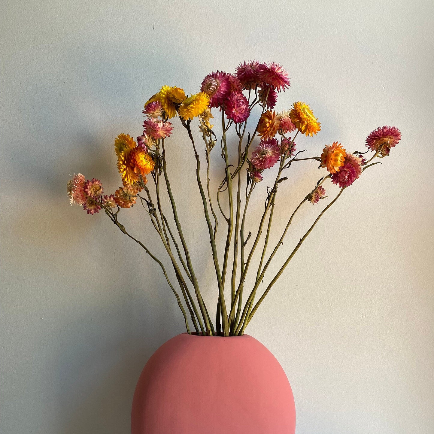 Everlasting Strawflower Bouquet