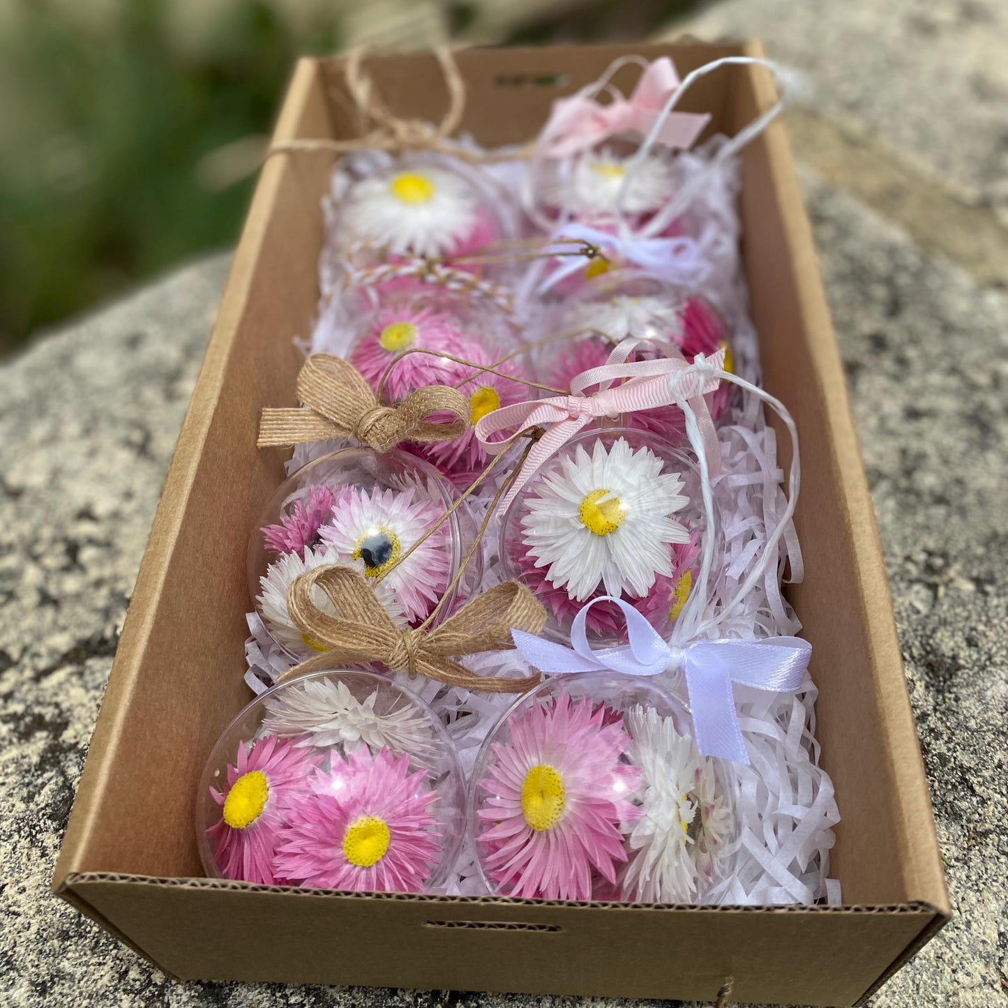 Everlasting Daisy Bauble - Small