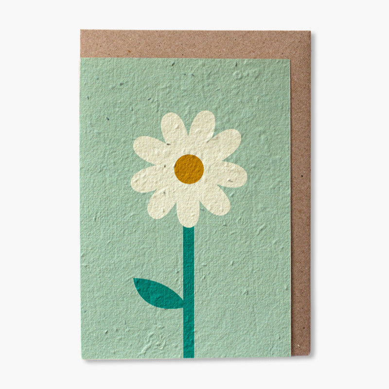 Daisy Greeting Card