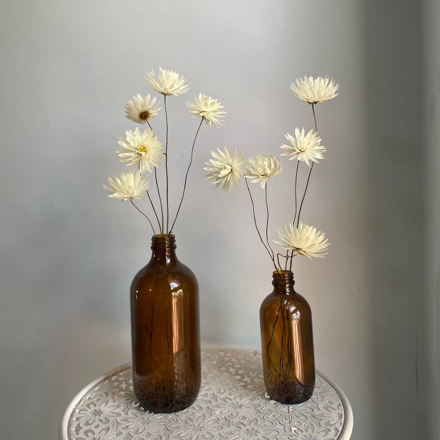 Splendid Everlasting Daisy Bouquet