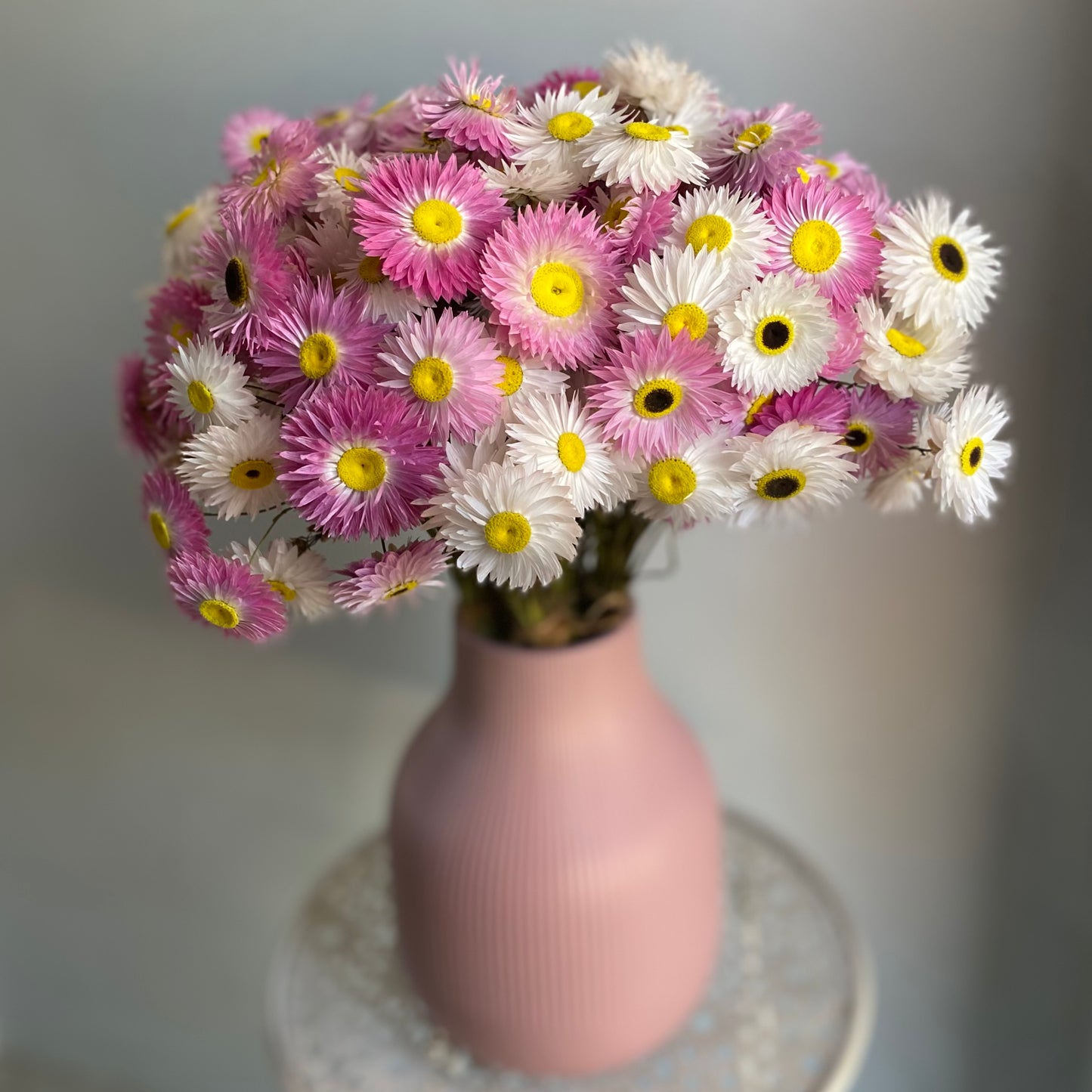 Pink and White Everlasting Daisy Bouquet