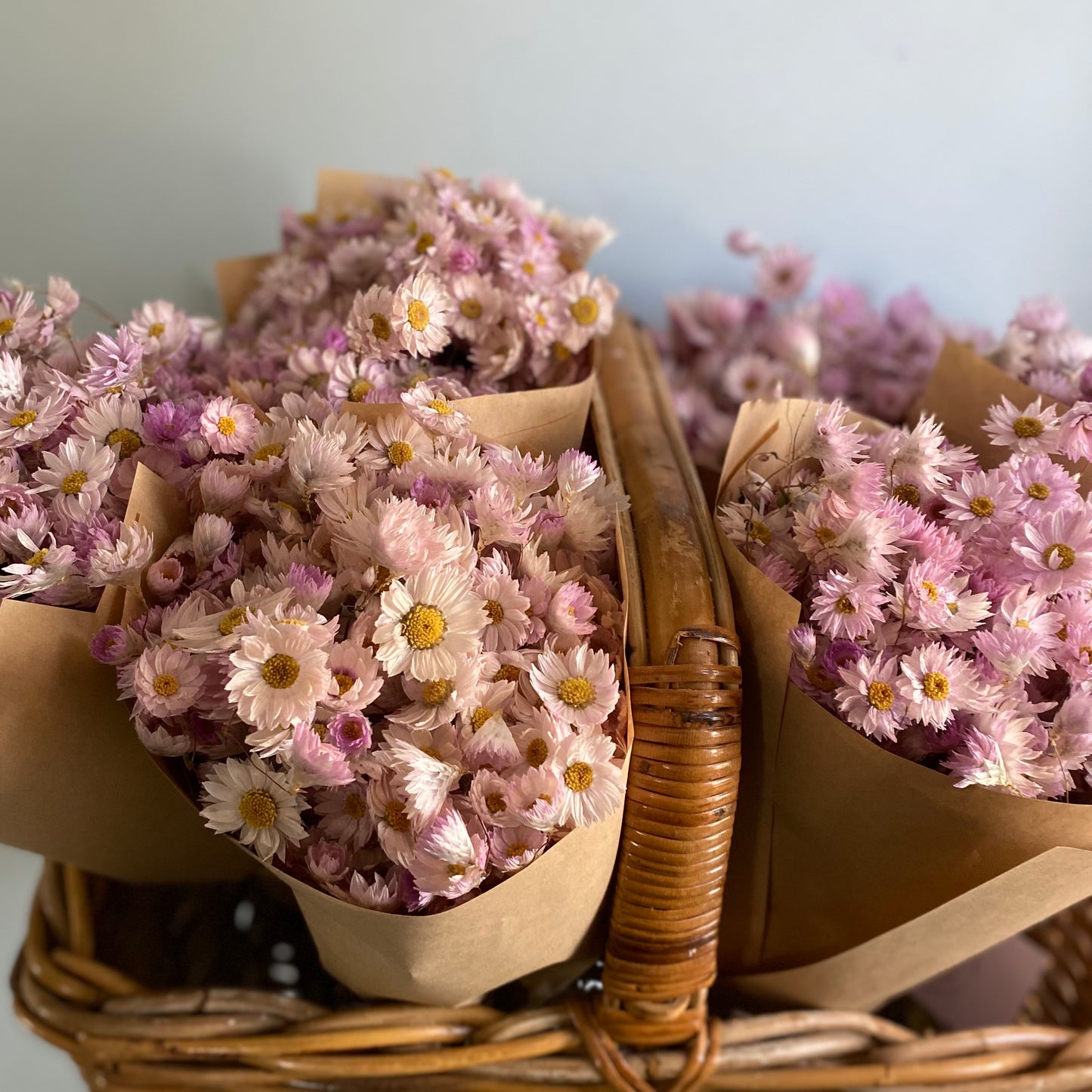 Soft Pink Silver Bell Bouquet
