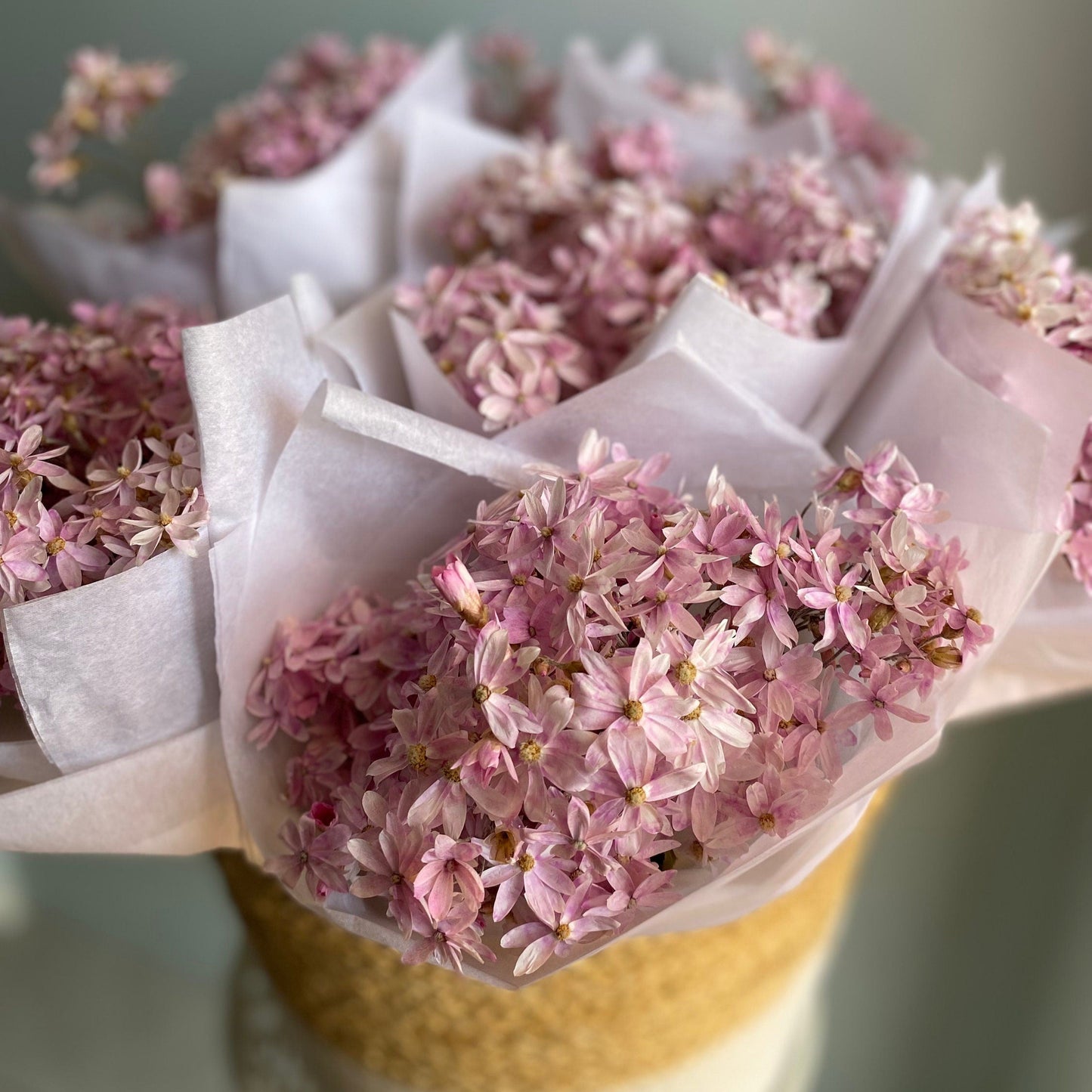 Pink Cluster Daisy Bouquet