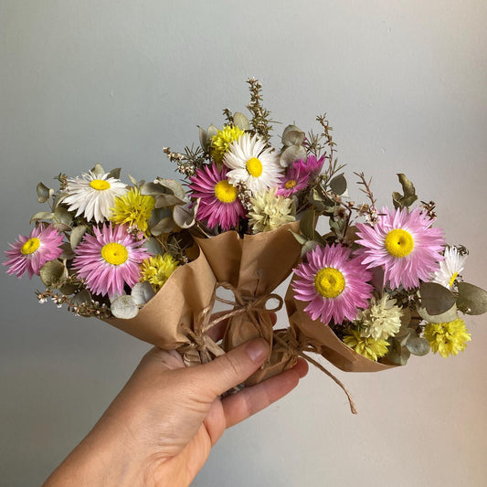 Everlasting Daisy Bouquet - Mini