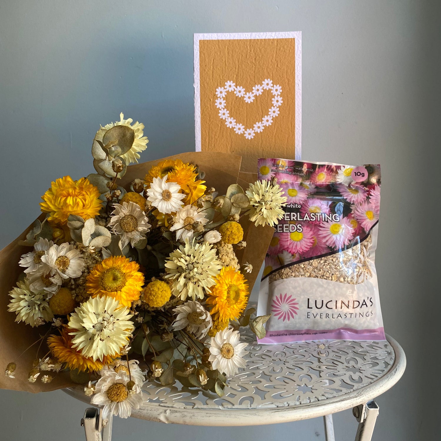 Everlasting Daisy Bundle
