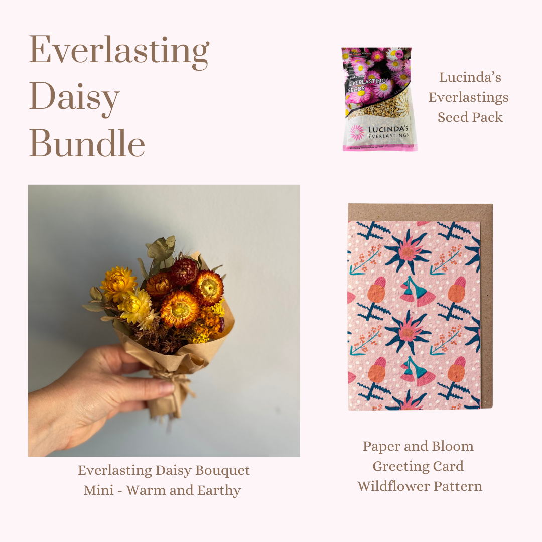 Everlasting Daisy Bundle - MINI