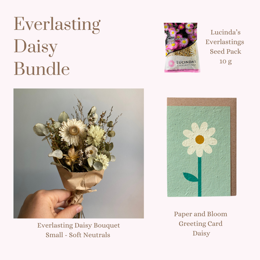 Everlasting Daisy Bundle - MINI
