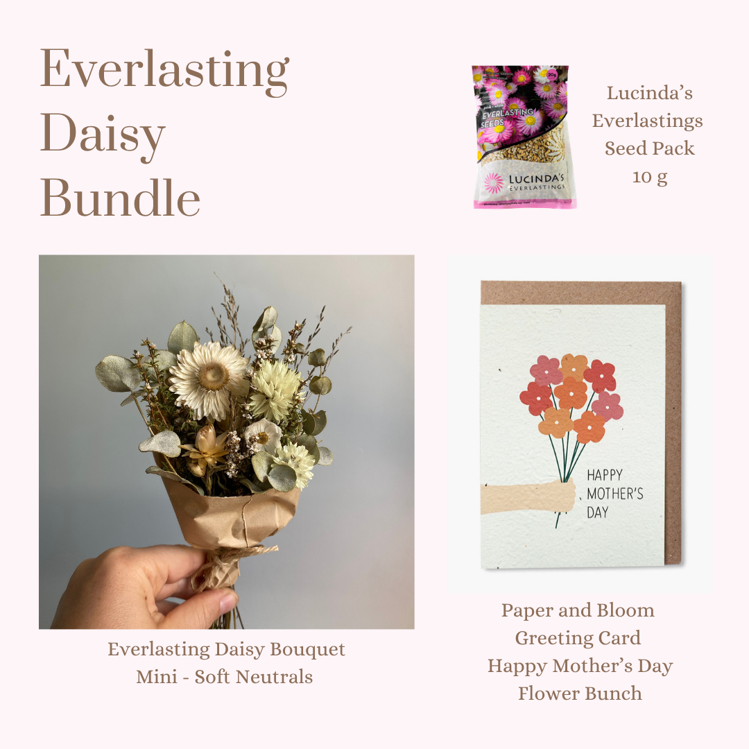 Everlasting Daisy Bundle - MINI