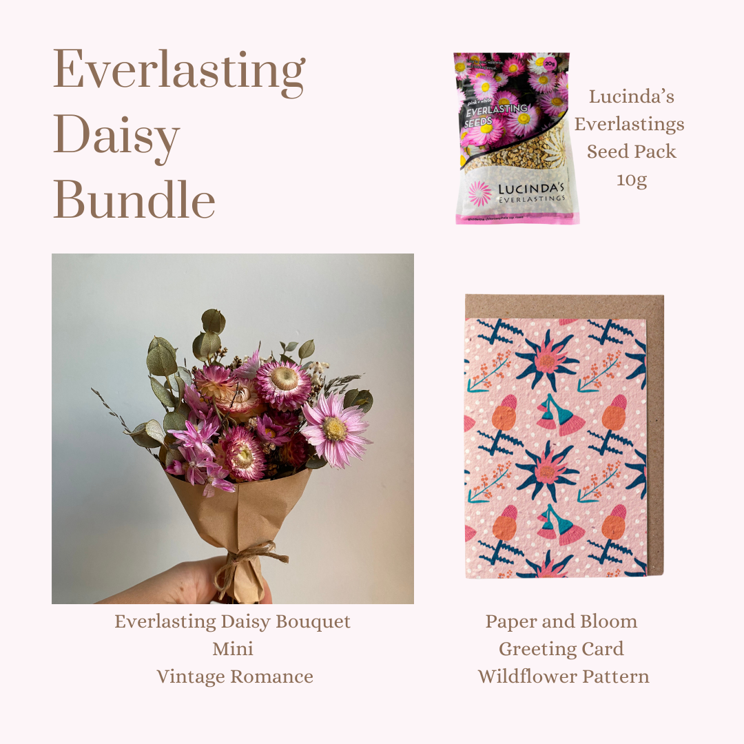 Everlasting Daisy Bundle - MINI
