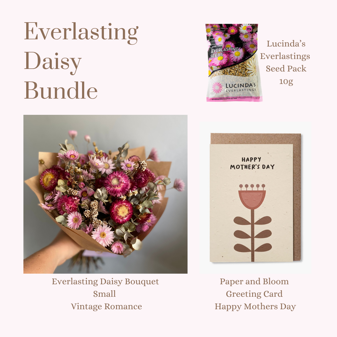 Everlasting Daisy Bundle - SMALL