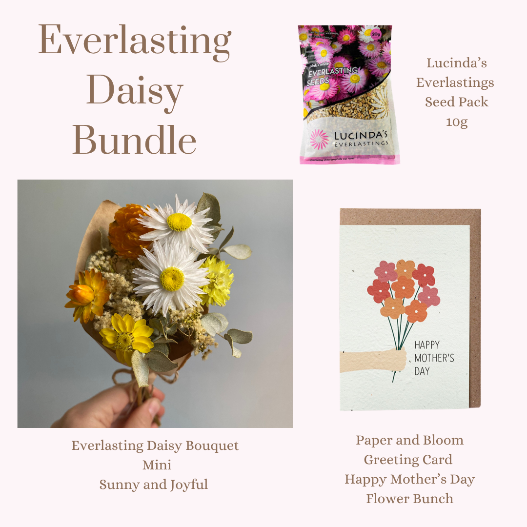 Everlasting Daisy Bundle - MINI