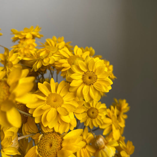 Golden Everlastings Bouquet