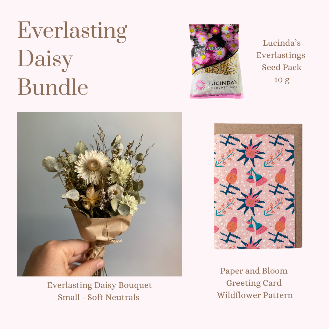 Everlasting Daisy Bundle - MINI