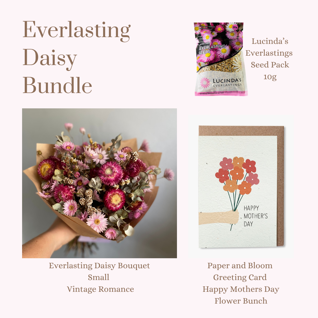 Everlasting Daisy Bundle - SMALL