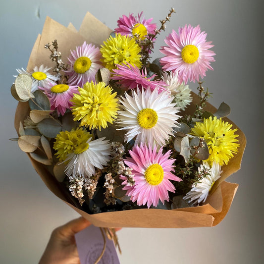 Everlasting Daisy Bouquet - Small