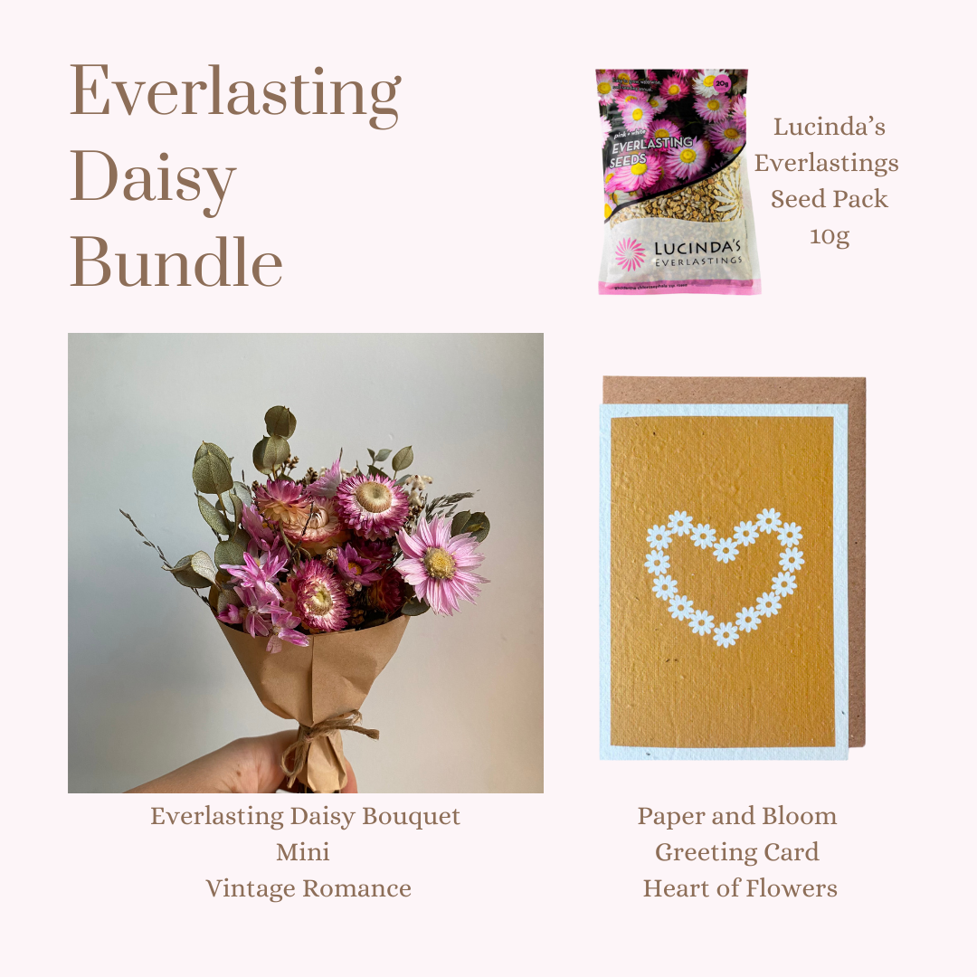 Everlasting Daisy Bundle - MINI