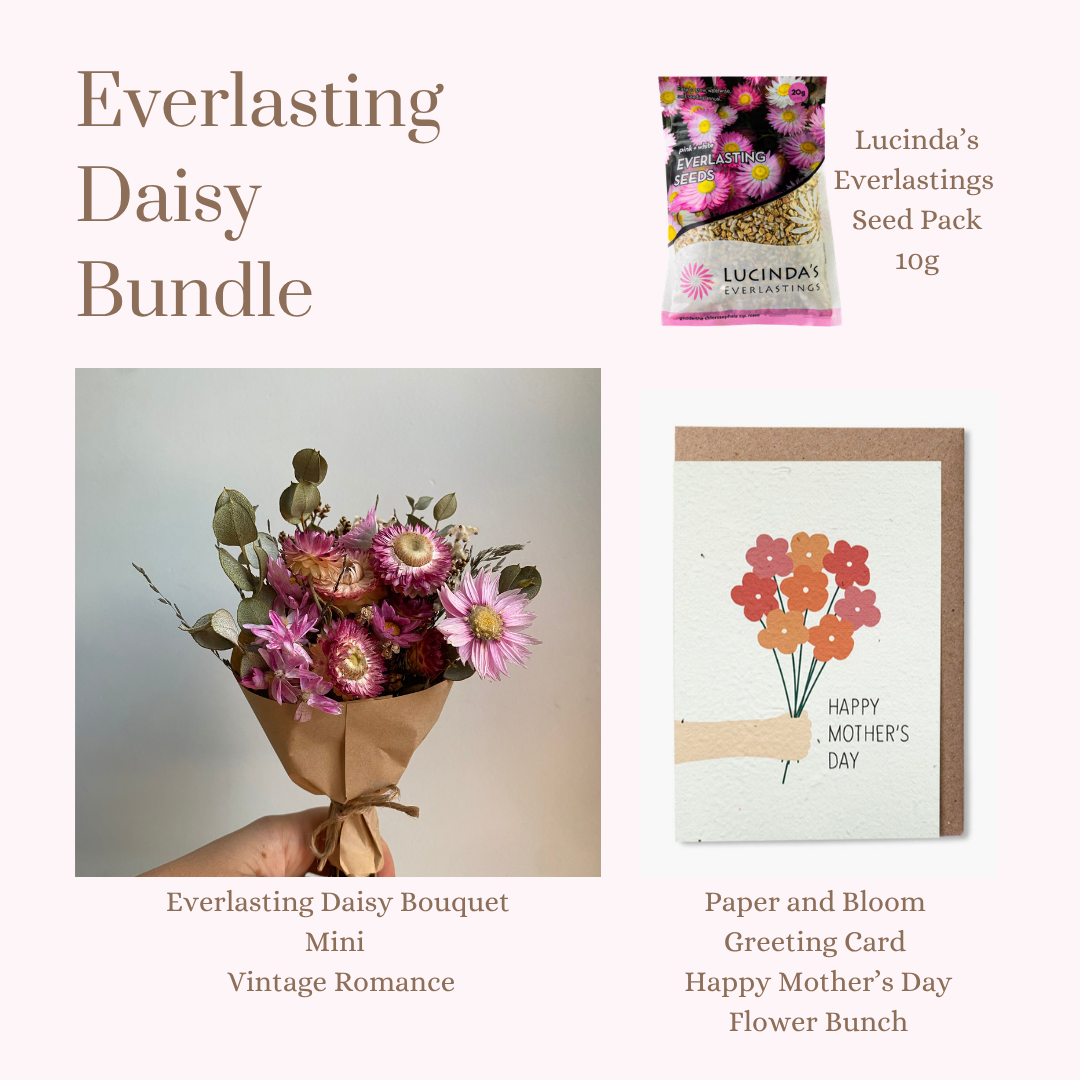 Everlasting Daisy Bundle - MINI