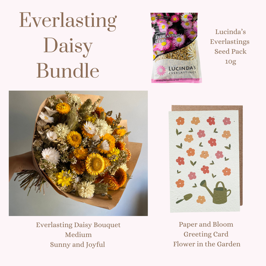 Everlasting Daisy Bundle - MEDIUM