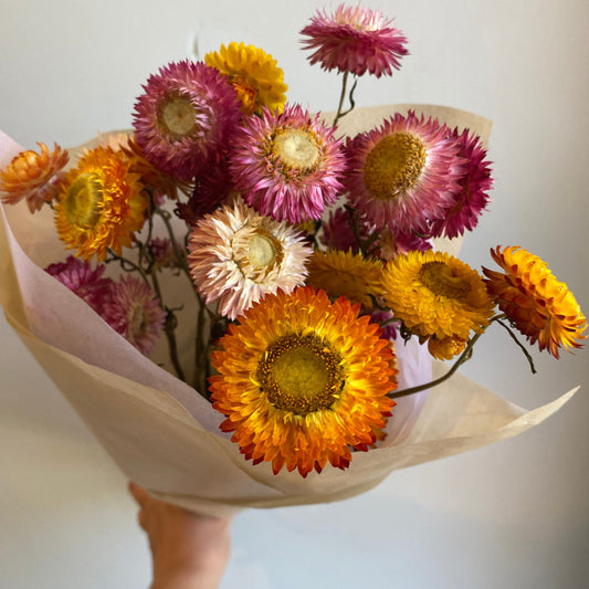 Everlasting Strawflower Bouquet
