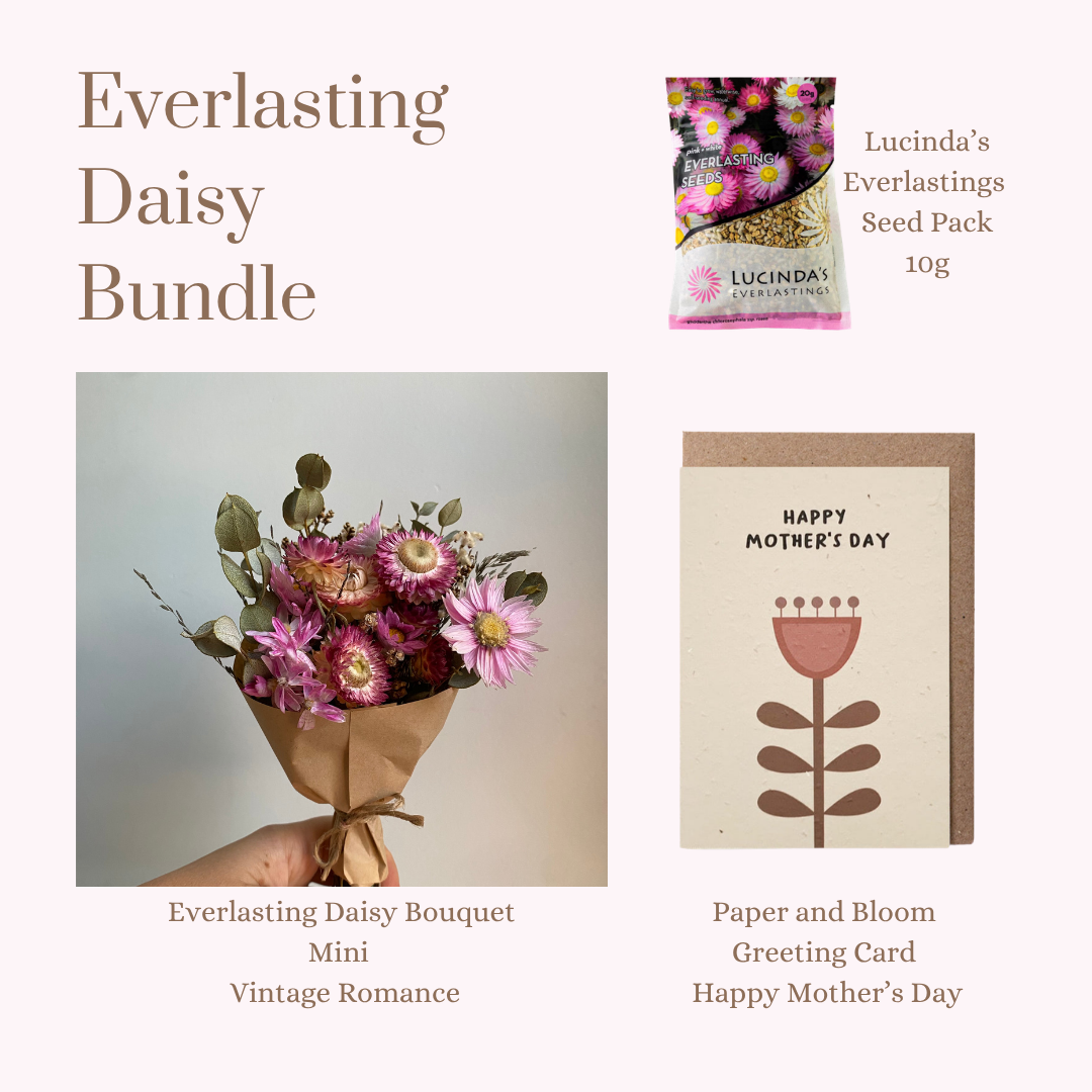Everlasting Daisy Bundle - MINI