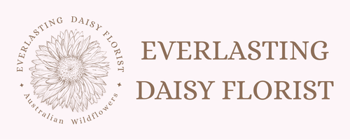 Everlasting Daisy Florist