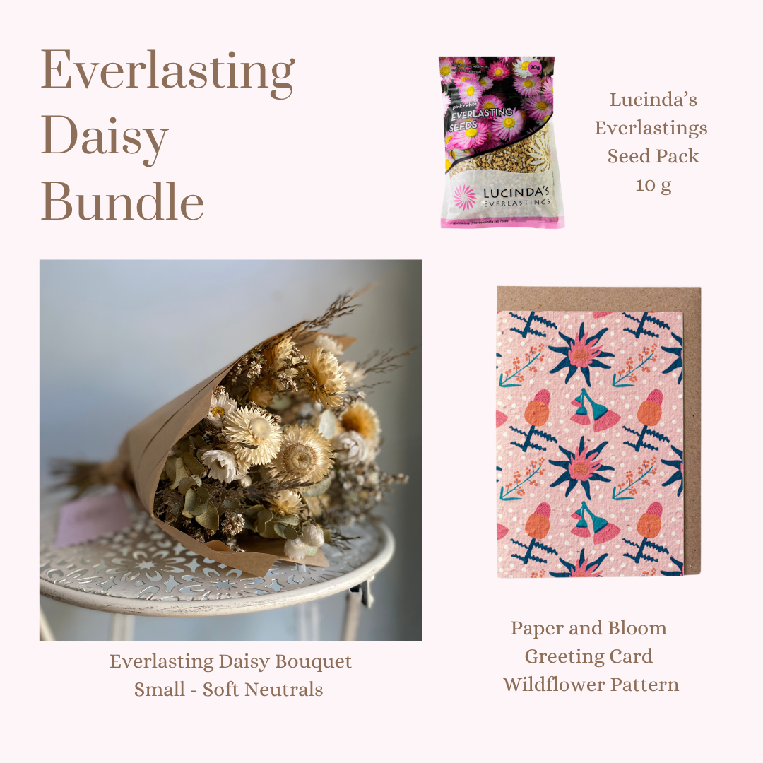 Everlasting Daisy Bundle - Small