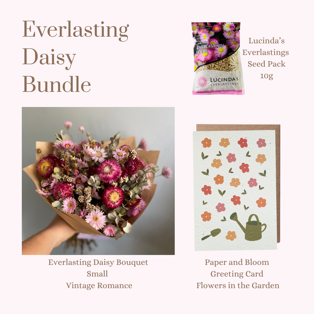 Everlasting Daisy Bundle - Small