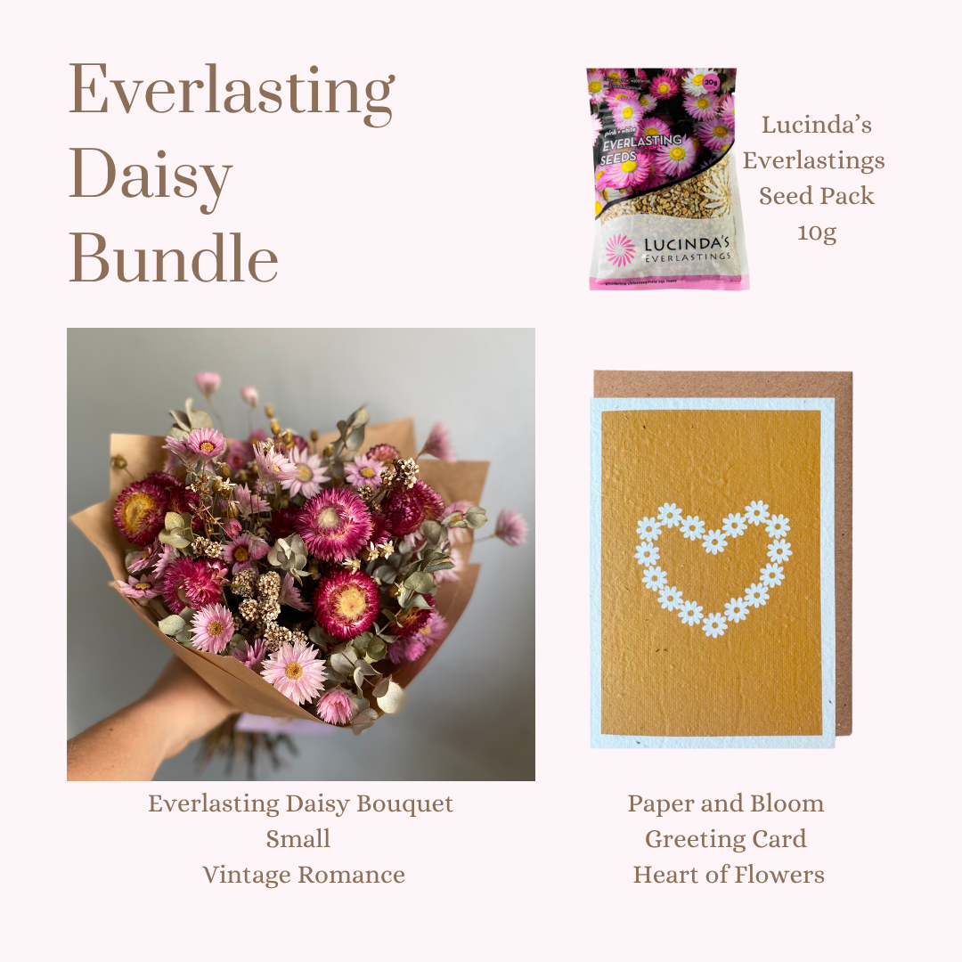 Everlasting Daisy Bundle - Small