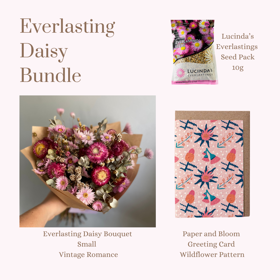 Everlasting Daisy Bundle - Small