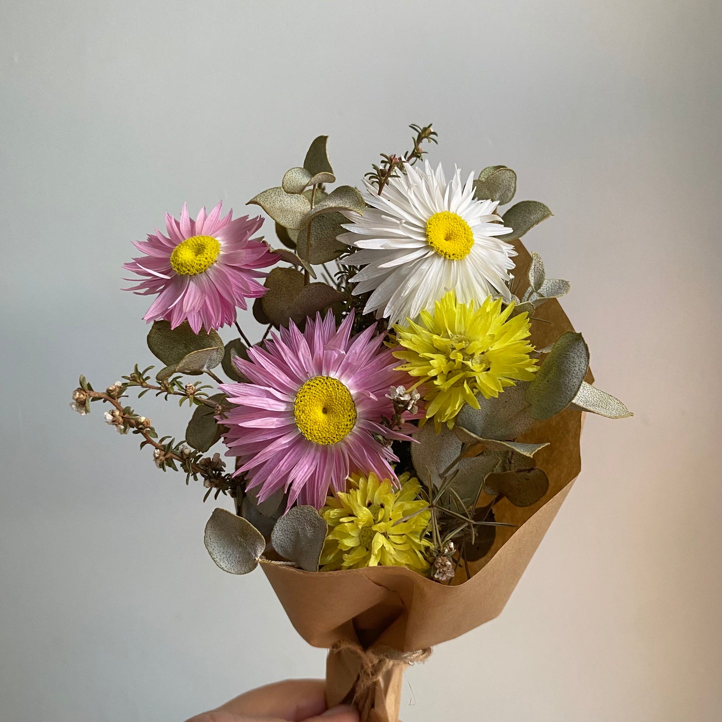 Everlasting Daisy Bouquets - Mini - Vibrant & Colourful