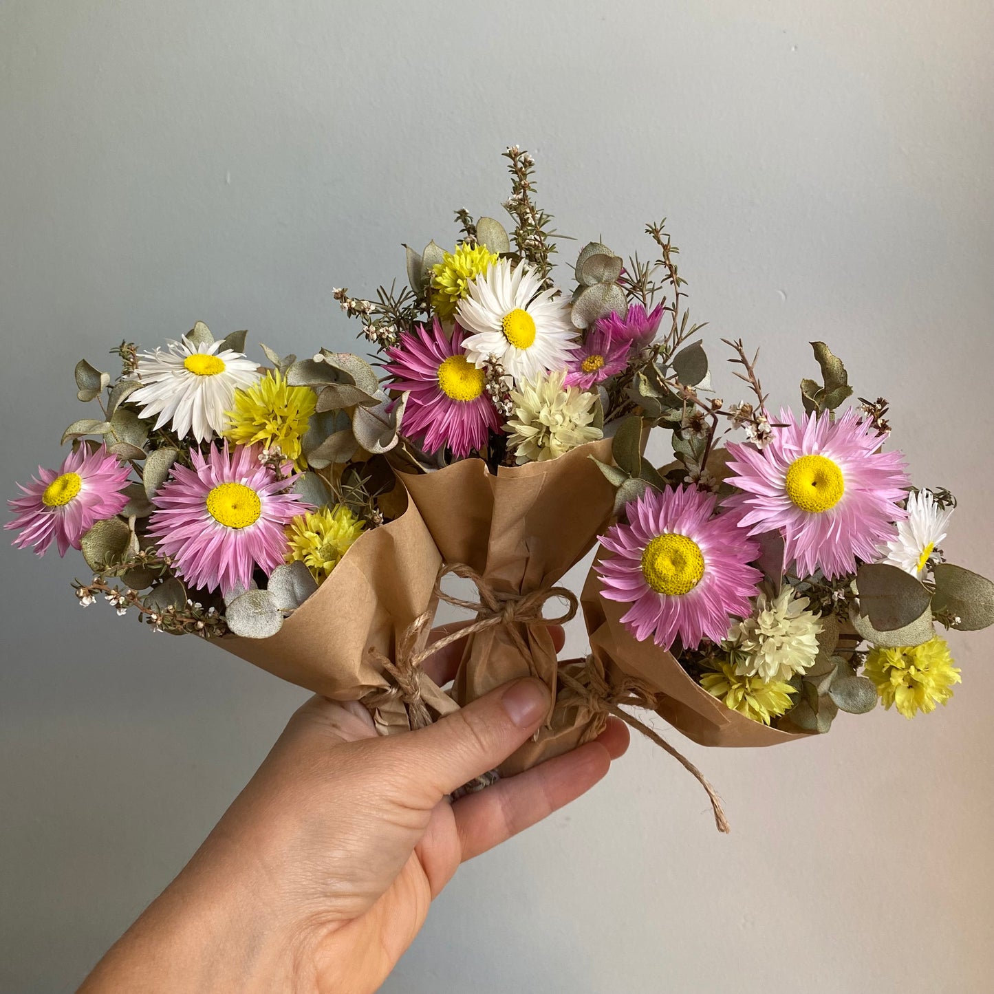 Everlasting Daisy Bouquets - Mini - Vibrant & Colourful