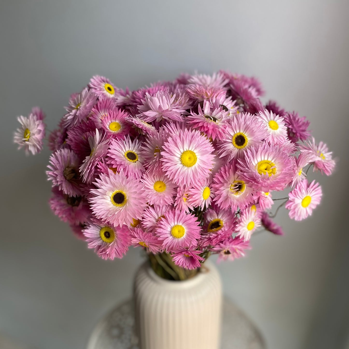Pink Everlasting Daisy Bouquet
