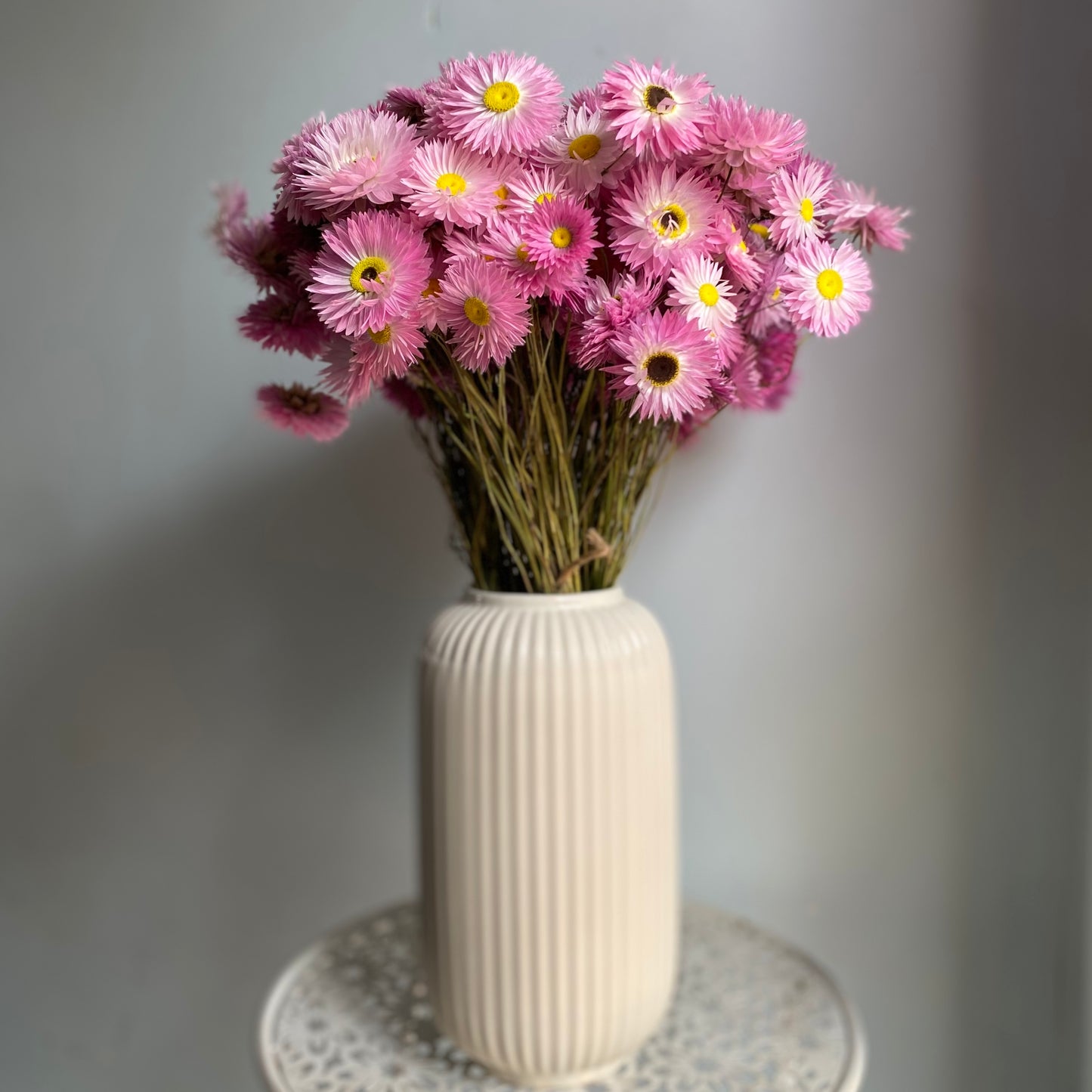 Pink Everlasting Daisy Bouquet