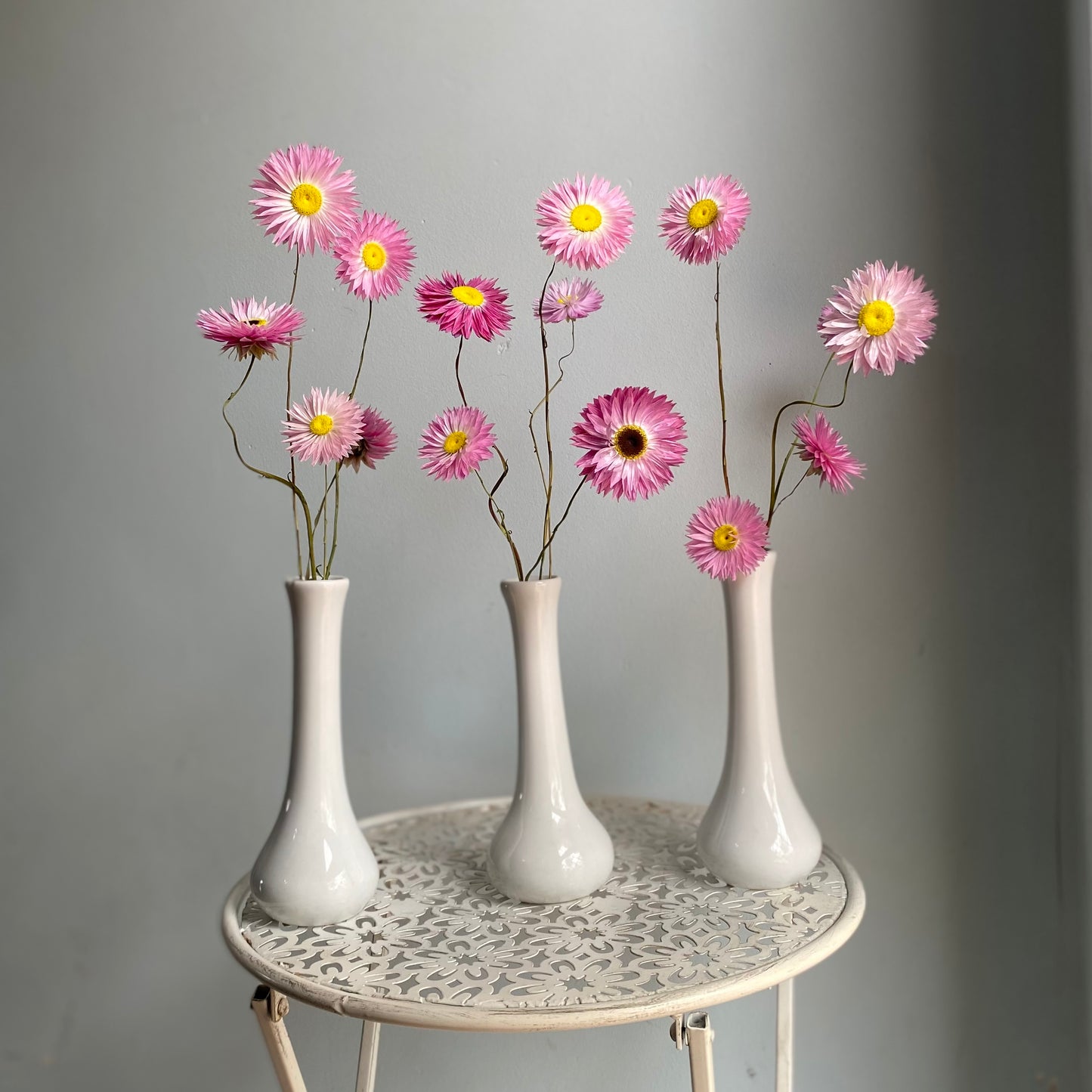 Pink Everlasting Daisy Bouquet