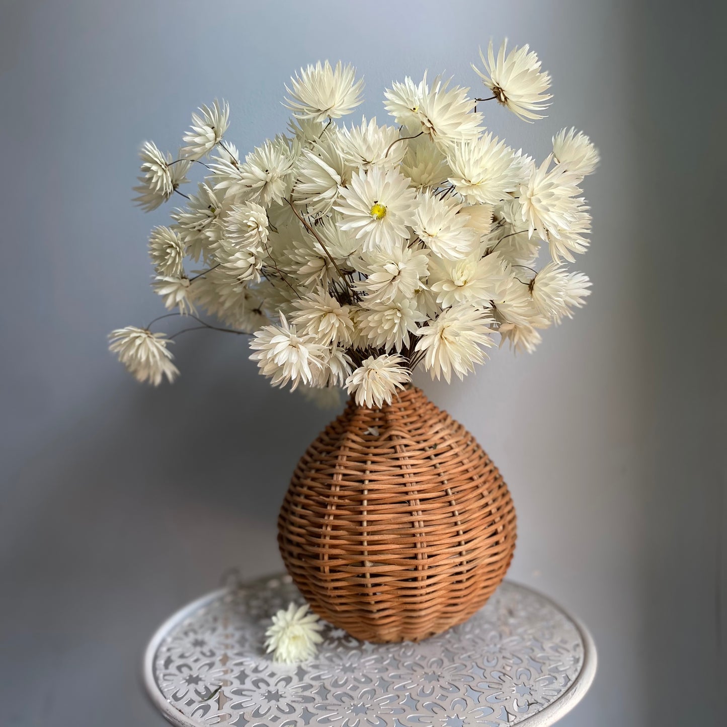 Splendid Everlasting Daisy Bouquet