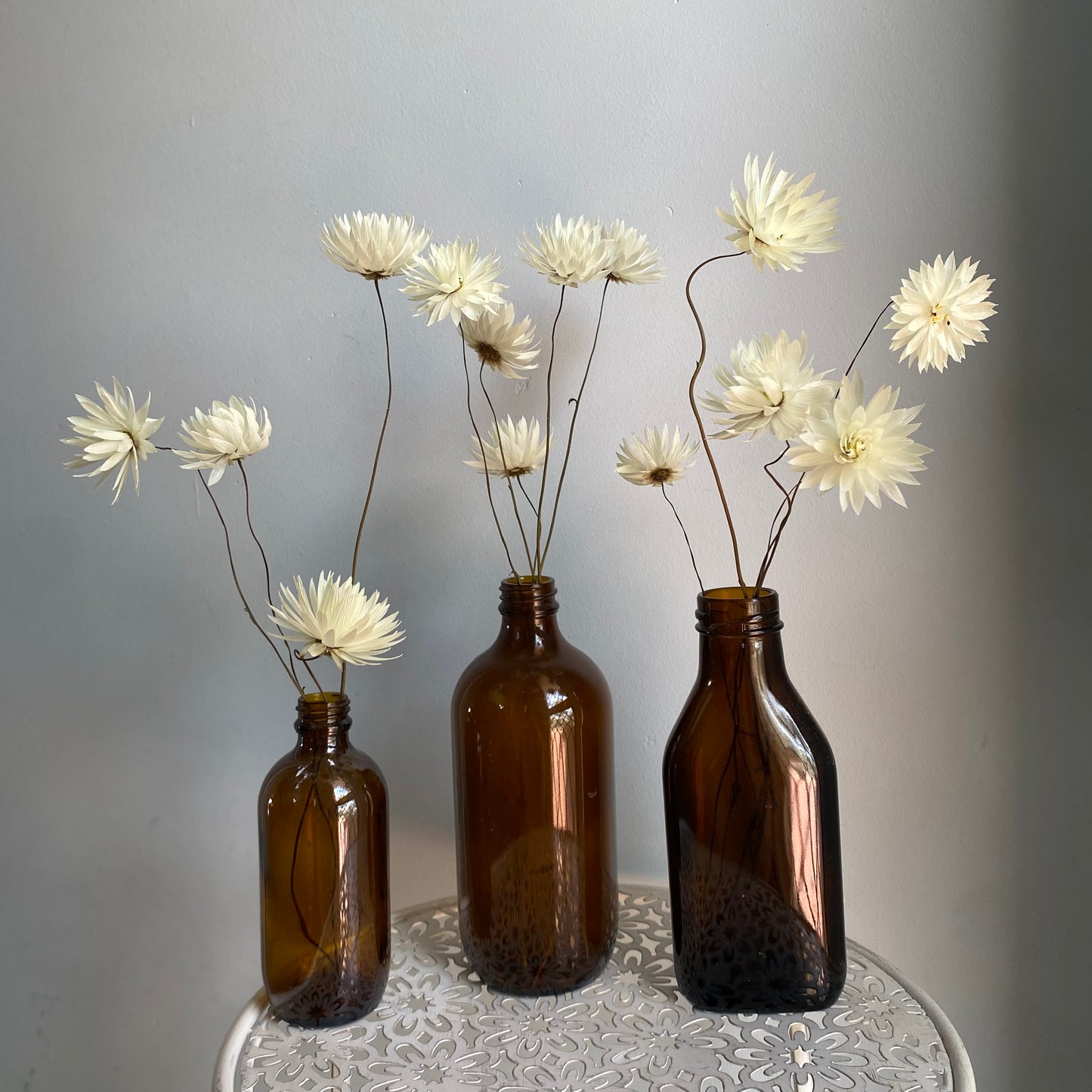 Splendid Everlasting Daisy Bouquet