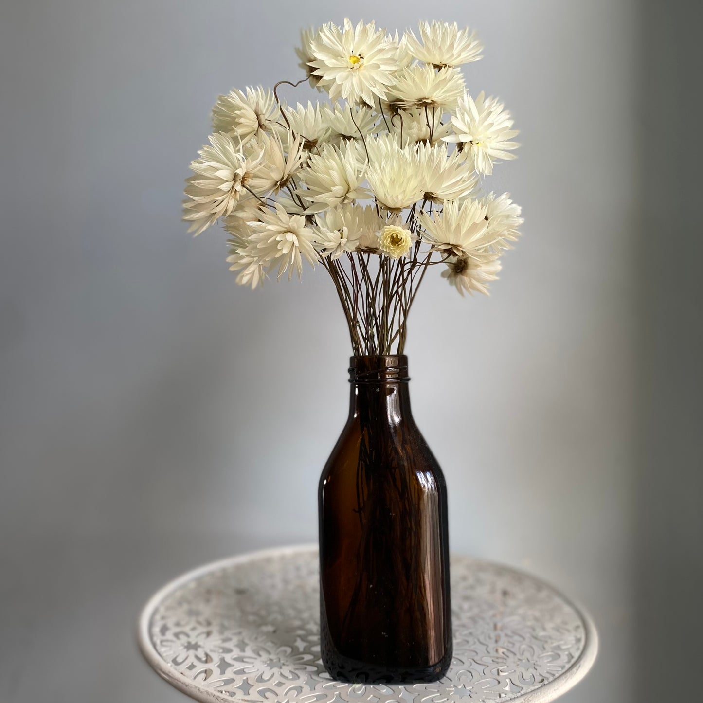 Splendid Everlasting Daisy Bouquet