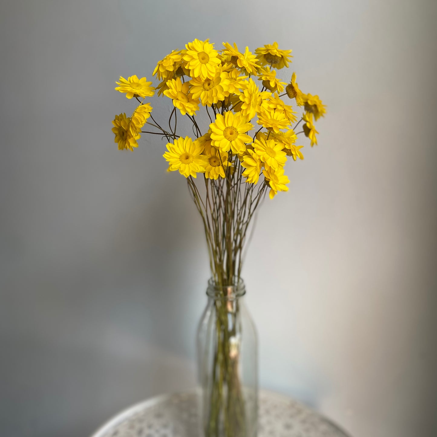 Golden Everlasting Daisy Bouquet
