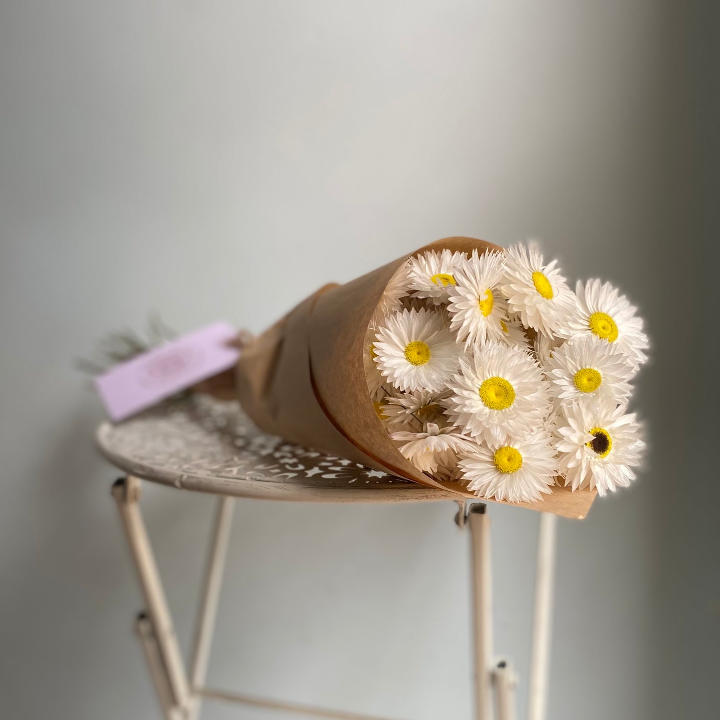 White Everlasting Daisies