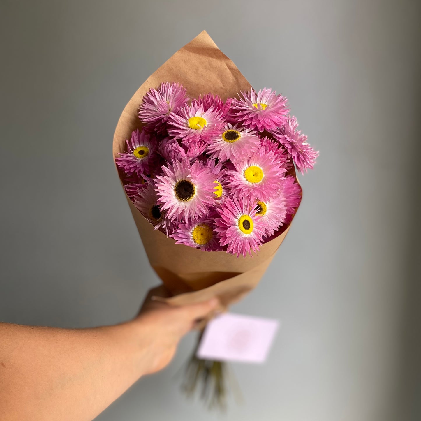 Pink Everlasting Daisy Bouquet