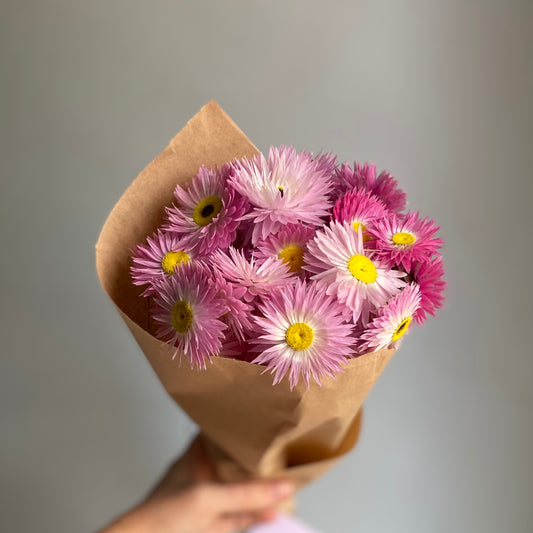 Pink Everlasting Daisy Bouquet