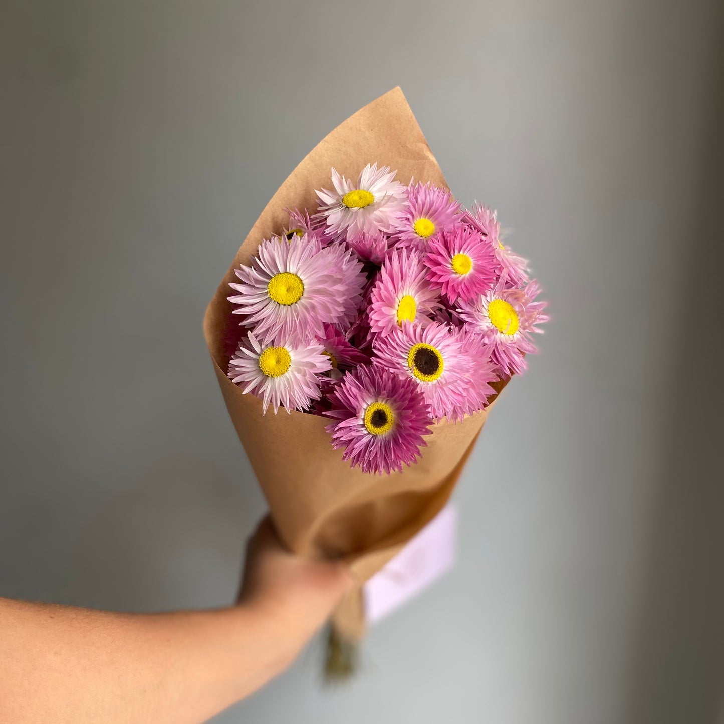 Pink Everlasting Daisy Bouquet