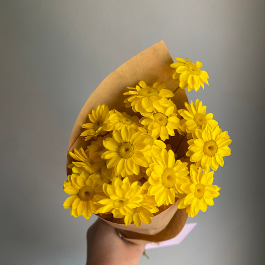 Golden Everlasting Daisy Bouquet