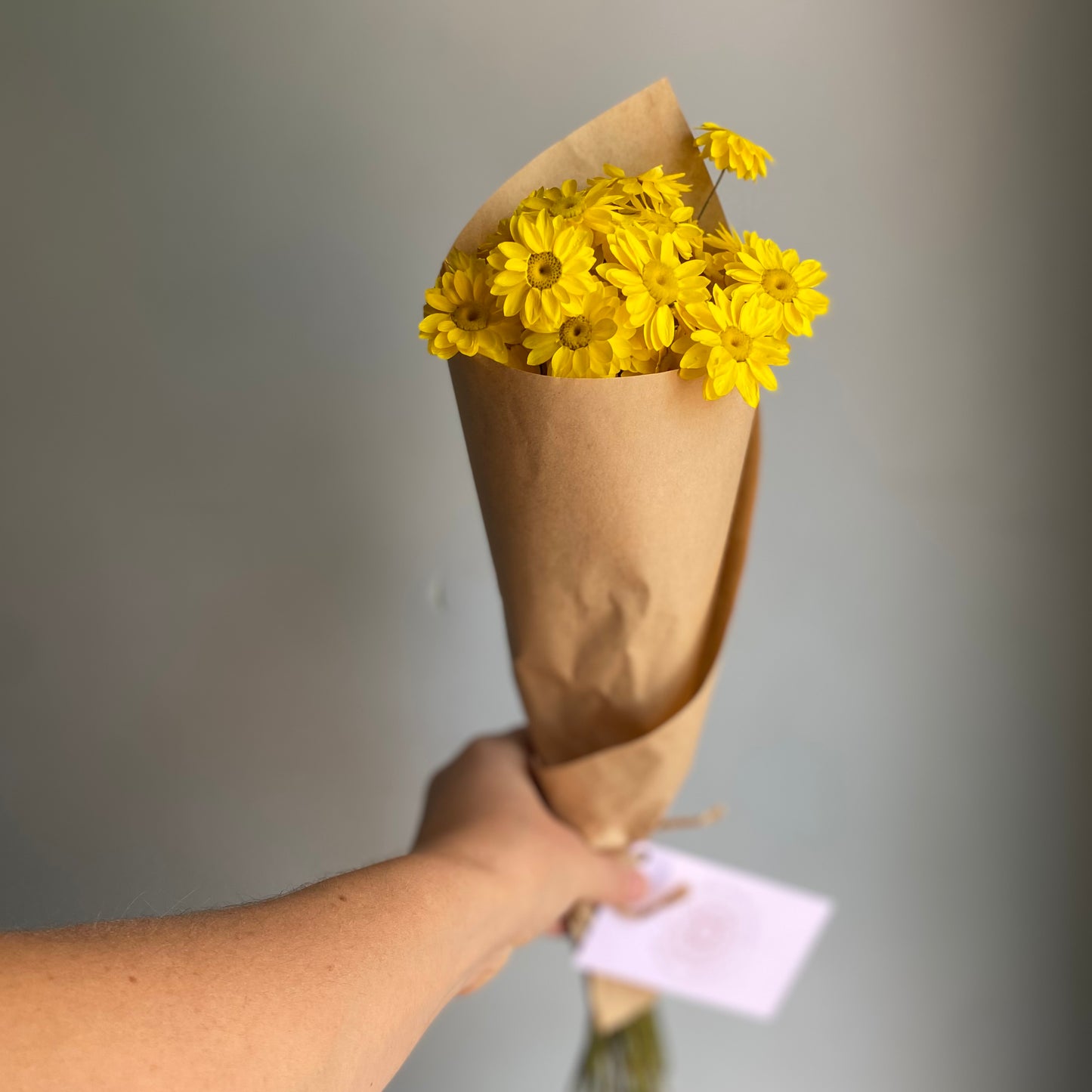 Golden Everlasting Daisy Bouquet