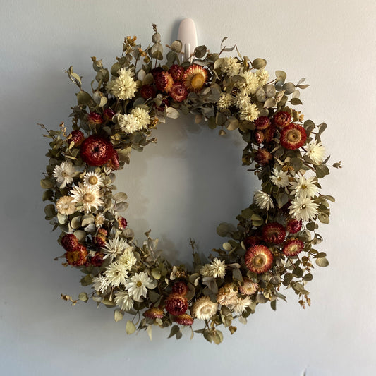 Everlasting Daisy Wreath - Medium, Red & White