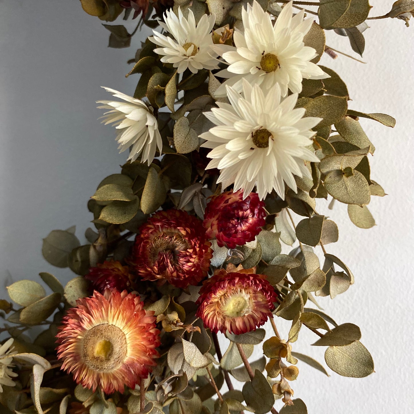 Everlasting Daisy Wreath - Medium, Red & White