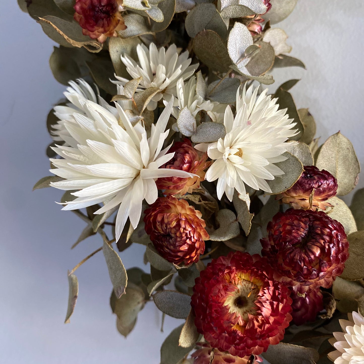 Everlasting Daisy Wreath - Medium, Red & White