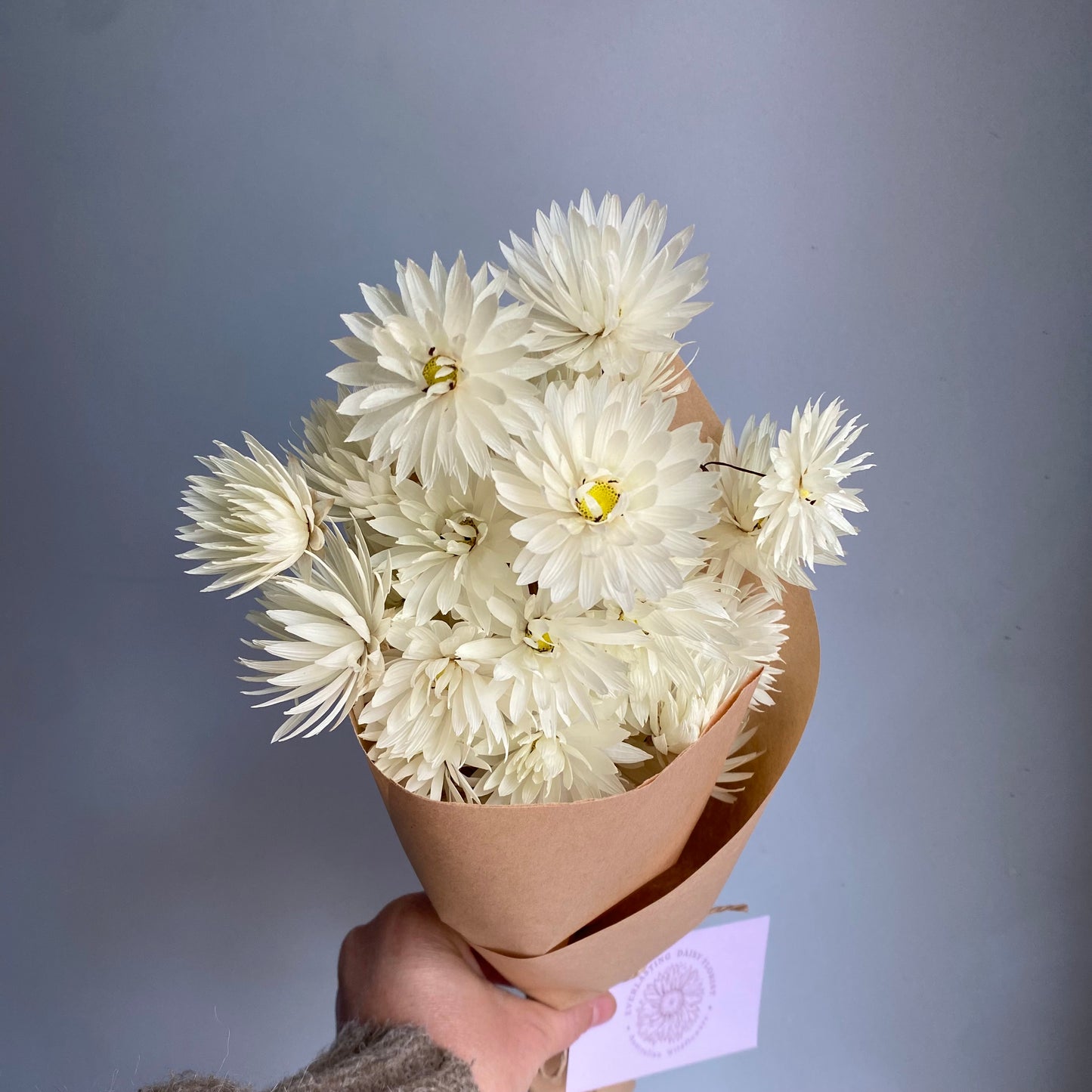 Splendid Everlasting Daisy Bouquet