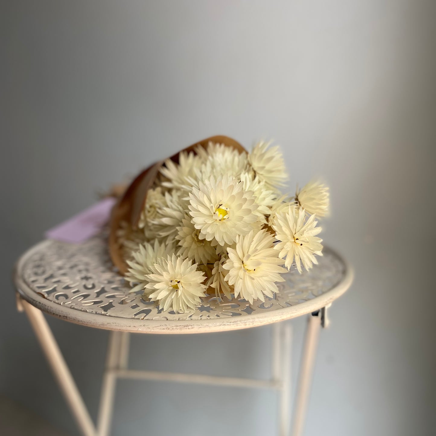 Splendid Everlasting Daisy Bouquet